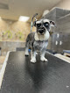 Pet boarding services Four Paws Inn in Banning in California