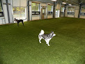 Pet boarding services Four Paws Pet Resort in Eagan in MN