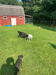 Pet boarding services Fox Farm Kennel in New Ipswich in New Hampshire