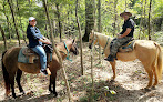 Pet boarding services Frazier's Homestead in Baker in Louisiana