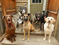 Pet boarding services Free Dog in Plaistow in NH