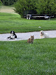 Pet boarding services Free Spirit Kennels in Osawatomie in Kansas