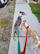 Pet boarding services Fresno Pet Pleasure in Fresno in California