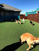 Pet boarding services Frontier Veterinary Clinic & Pet Resort in Abilene in Taylor
