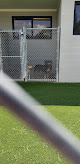 Pet boarding services Ft. Stewart Pet Boarding Facility in Fort Stewart in Fort Stewart