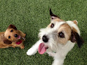 Pet boarding services Fur And Feathers Luxury Pet Resort in Bakersfield in CA