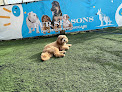 Pet boarding services Fur Seasons Dog Resort & Spa in Jersey City in Hudson