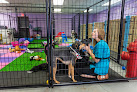 Pet boarding services Fur The Love Of Dog! in Delaware in OH