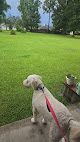 Pet boarding services Furbabies Dog Bed & Breakfast in Prairieville in Louisiana