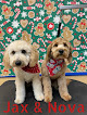 Pet boarding services Furr-ever Friends Dog Grooming & Boarding in Nancy in Kentucky