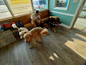 Pet boarding services Furry Feet Pet Retreat in Hampton in Virginia