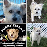 Pet boarding services Furry Fellas Dog Walking & Pet Sitting Service in Coventry in RI