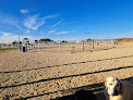 Pet boarding services G Ranch Stables in Kuna in Idaho