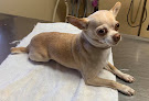 Pet boarding services Garden Grove Animal Hospital in Cypress Gardens in Polk