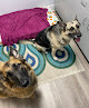 Pet boarding services Gause Paws Pet Resort And Boutique in Slidell in Louisiana