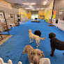 Pet boarding services Gearhart Indoor Dog Park And Doggy Daycare in Gearhart in Oregon
