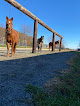 Pet boarding services Gelinas Farm in Pembroke in New Hampshire