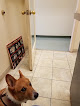 Pet boarding services Gentle Care Animal Hospital in Lawrence in Kansas