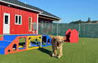 Pet boarding services Glacier K9 Resort And Spa in Kalispell in MT