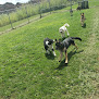 Pet boarding services Golden Rust Farms Pet Resort in Carroll in OH