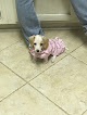 Pet boarding services Goodwin Animal Hospital At Atlanta Highway in Montgomery in Alabama