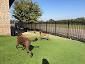 Pet boarding services Goodwin Animal Hospital At Pike Road in Montgomery in Alabama