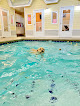 Pet boarding services Goodwin Pet Resort At Pike Road in Montgomery in Alabama
