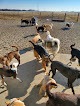 Pet boarding services Gossels Dog House in Good Hope in IL