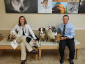 Pet boarding services Grace Animal Hospital in Bridgeport in West Virginia