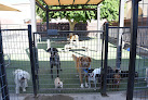 Pet boarding services Grand Pet Hotel in Surprise in Arizona