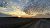 Pet boarding services Great Plains Pet Hospital in Newton in Kansas
