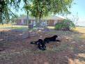 Pet boarding services Green Acres Dog Boarding in Moore in OK
