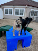 Pet boarding services Green Acres Pet Resort in DeForest in Wisconsin