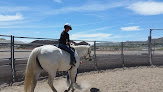 Pet boarding services Green River Horse Corral in Green River in Wyoming