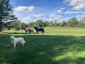 Pet boarding services Greenmont Farm in Hinesburg in Vermont