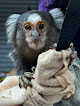 Pet boarding services Greyhaven Exotic Pet Boarding in Nashville in Davidson