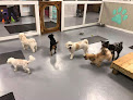 Pet boarding services Groom House Pet Salon & Dog Hotel in Lecompte in Louisiana