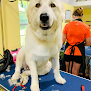Pet boarding services Grooming Tails Pet Spa /boarding / Doggie Day Care in Eutawville in SC