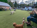 Pet boarding services Growlerz Seattle in Seattle in WA