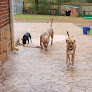 Pet boarding services Gula's Pet Hotel in Stone Mountain in GA