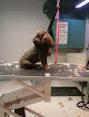 Pet boarding services Gupton Pet Care Center in Wichita in Kansas