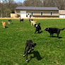 Pet boarding services Half Moon Kennels in Tiffin in Iowa