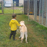Pet boarding services Hanover Hill Dog Kennel in Delaware in OH