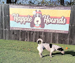 Pet boarding services Happie Hounds in Mt. Juliet in Wilson