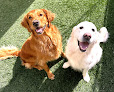 Pet boarding services Happy Campers Pet Lodge in Juliette in GA