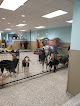 Pet boarding services Happy Dog Hotel & Spa in Carmel in Indiana