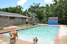 Pet boarding services Happy Dog Inn in Green Cove Springs in FL