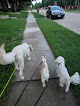 Pet boarding services Happy Paw Pet Care in Frisco in Texas