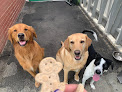 Pet boarding services Happy Paws @ Unleashed in Topsham in Maine