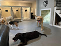 Pet boarding services Happy Paws K-9 in Leesburg in Virginia